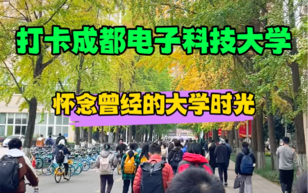 打卡成都電子科技大學,匆匆那年匆匆歲月,再回首恍然如夢～95