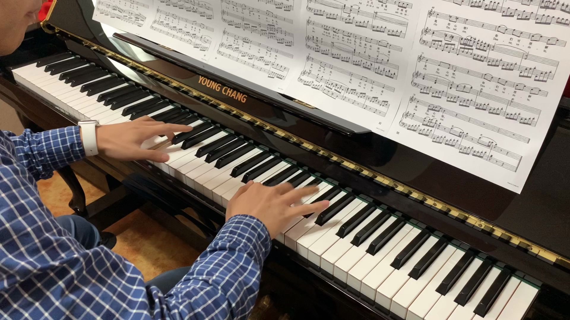 【声乐伴奏】voi,che sapete 你们可知道 选自歌剧《费加罗的婚礼》