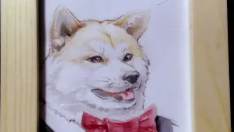 水彩 画一只单身狗单身狗系列4 11 哔哩哔哩 Bilibili