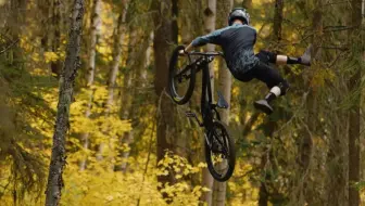 氛围感拉满的金叶林freeride