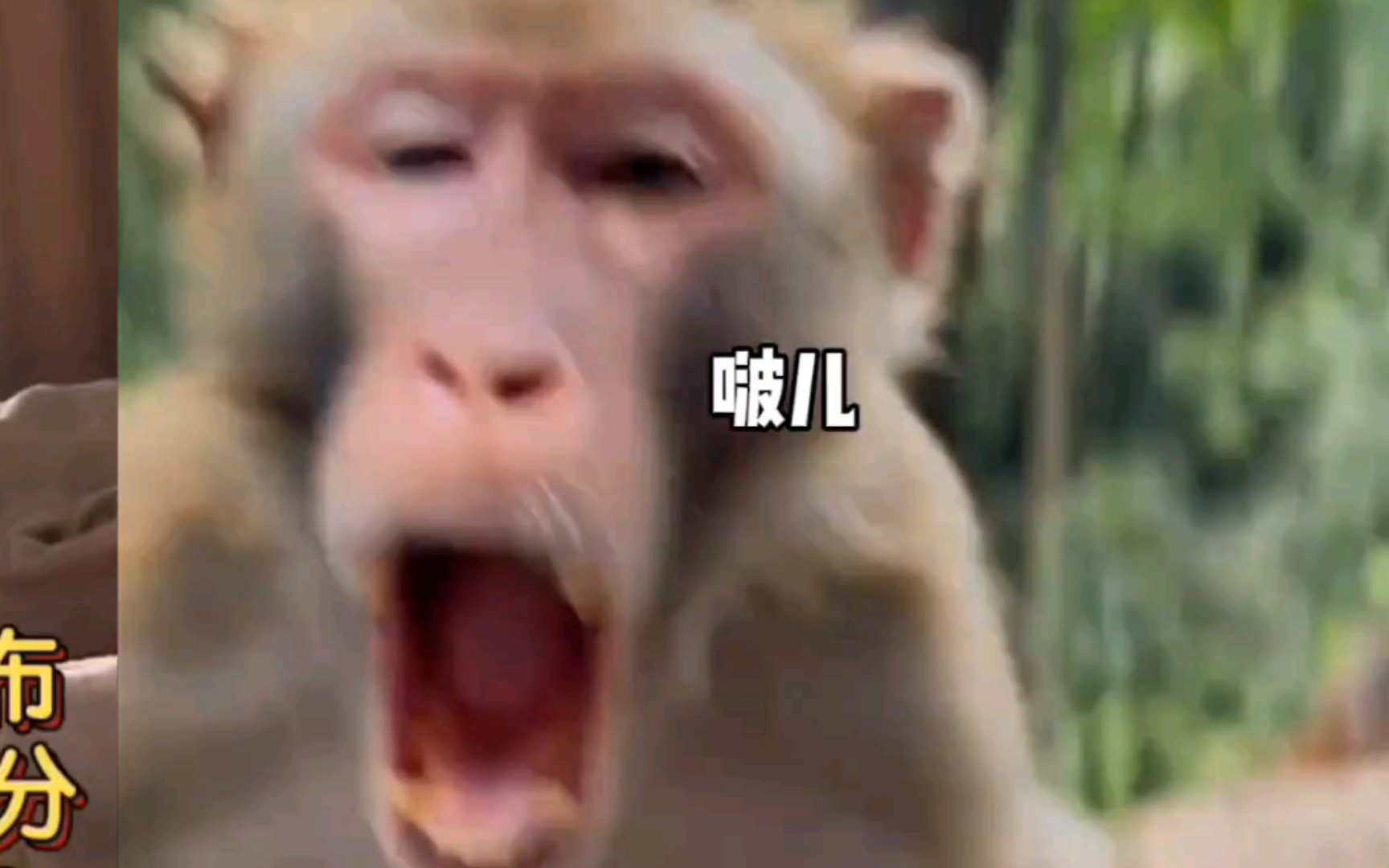 搞笑视频素材库免费=搞笑视频素材库免费网站