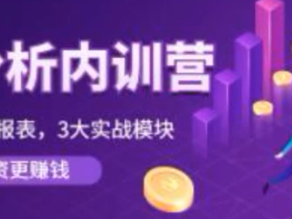 张新民《财报分析内训营》0基础看懂财务报表，3大应用实战模块，让投资更赚钱 - 影音视频 - 小不点搜索