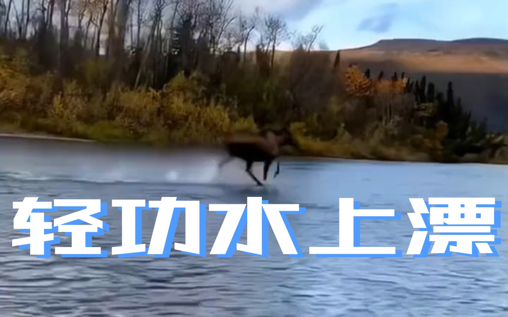 轻功水上漂对比,以前vs现在