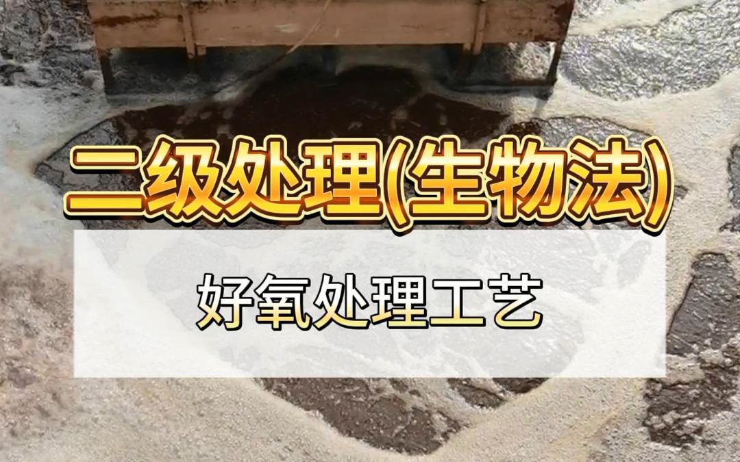 污水处理中二级处理(生物法)好氧工艺哔哩哔哩bilibili