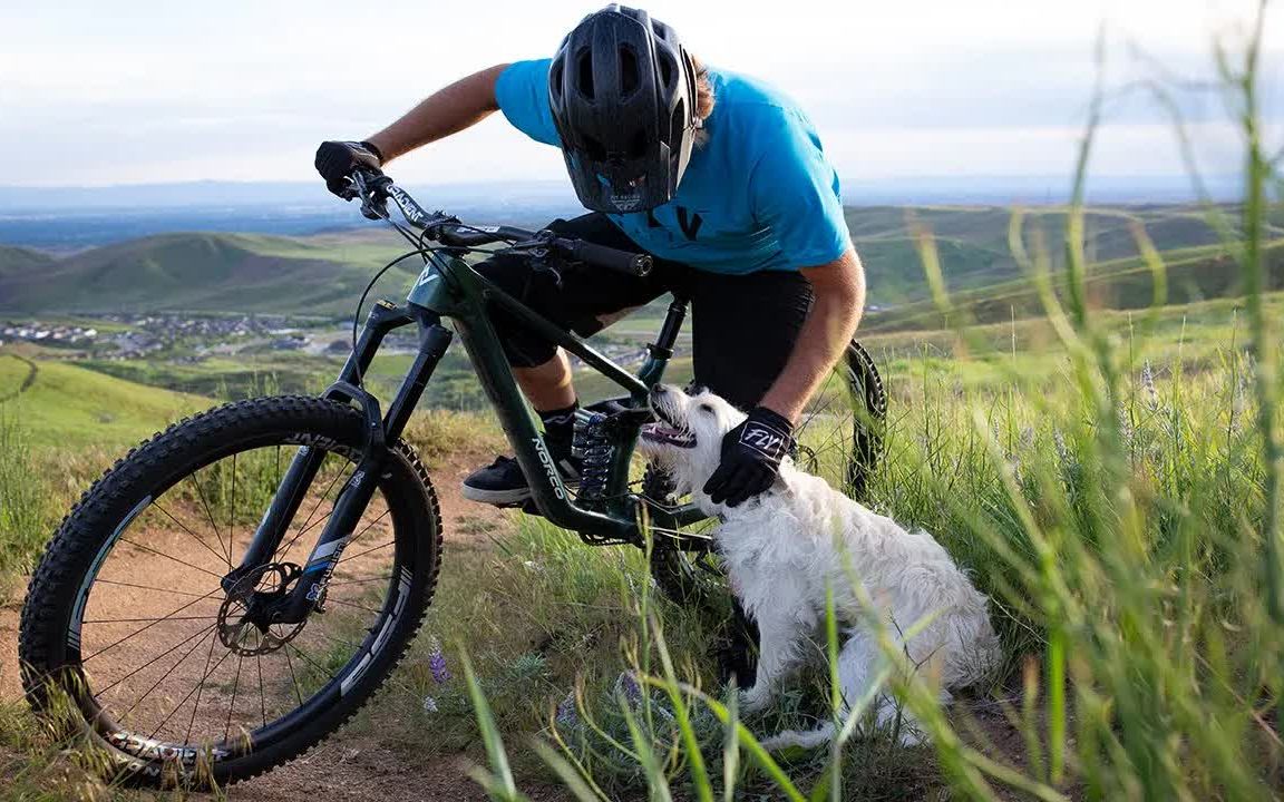 andrew taylor和他的速降狗狗