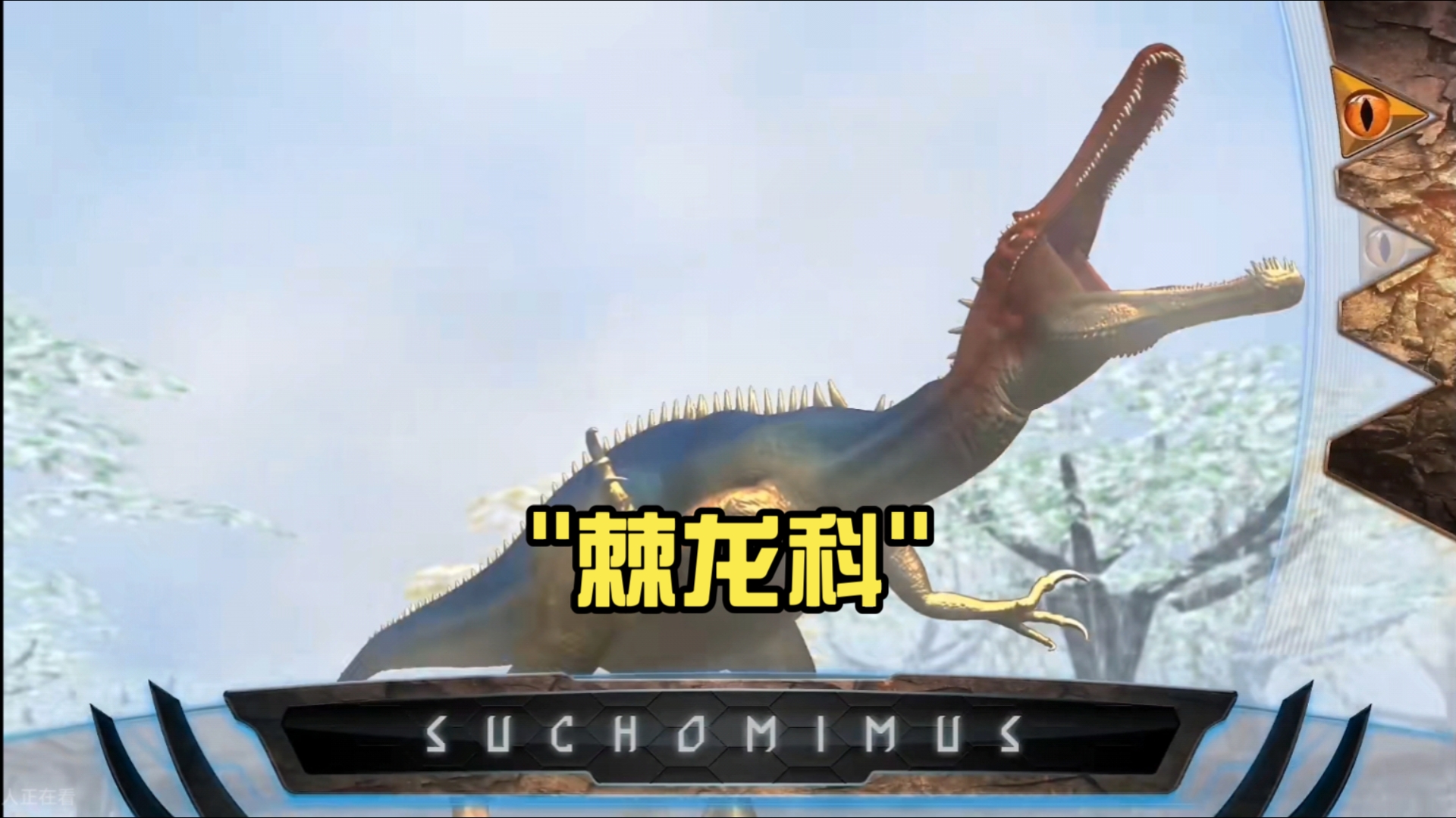 棘龙科(重爪龙被抛弃了)