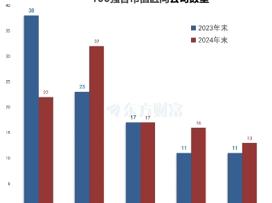 2024年中国上市公司100强哔哩哔哩bilibili