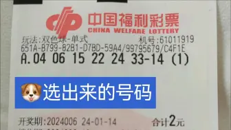 下载视频: 2024006期双色球，信狗运！