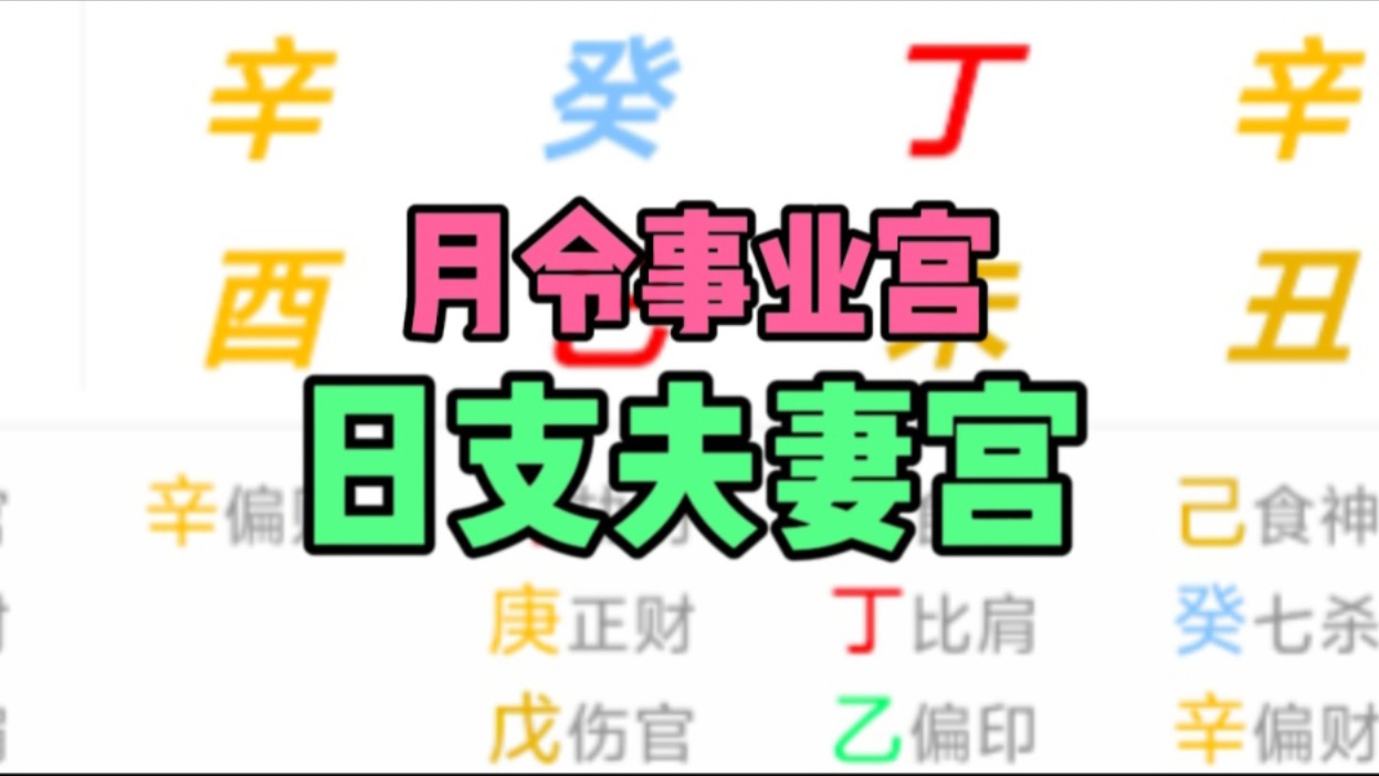 月令与月支,夫妻宫,事业宫.哔哩哔哩bilibili