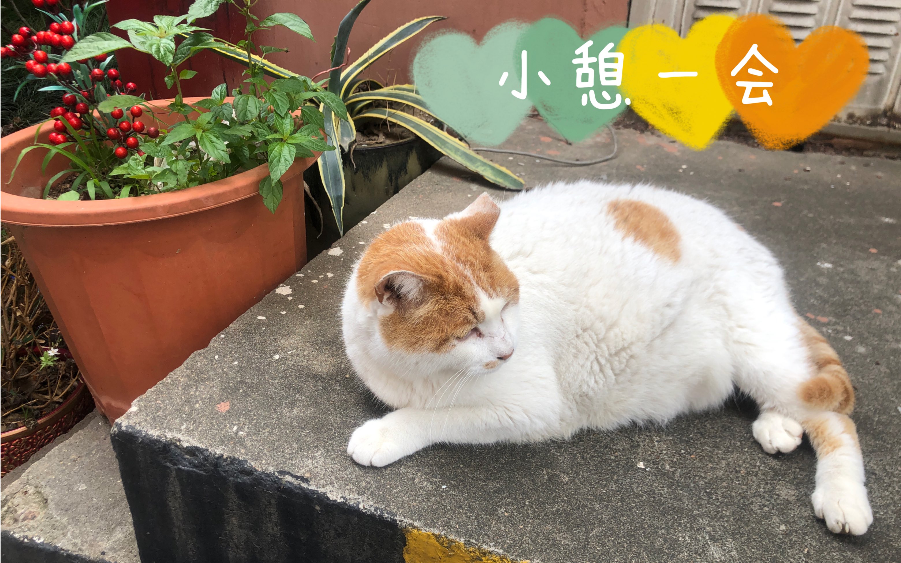 大黄:休息～休息一会