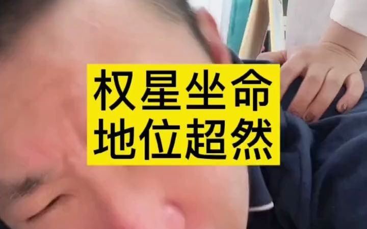 权星 紫微斗数哔哩哔哩bilibili