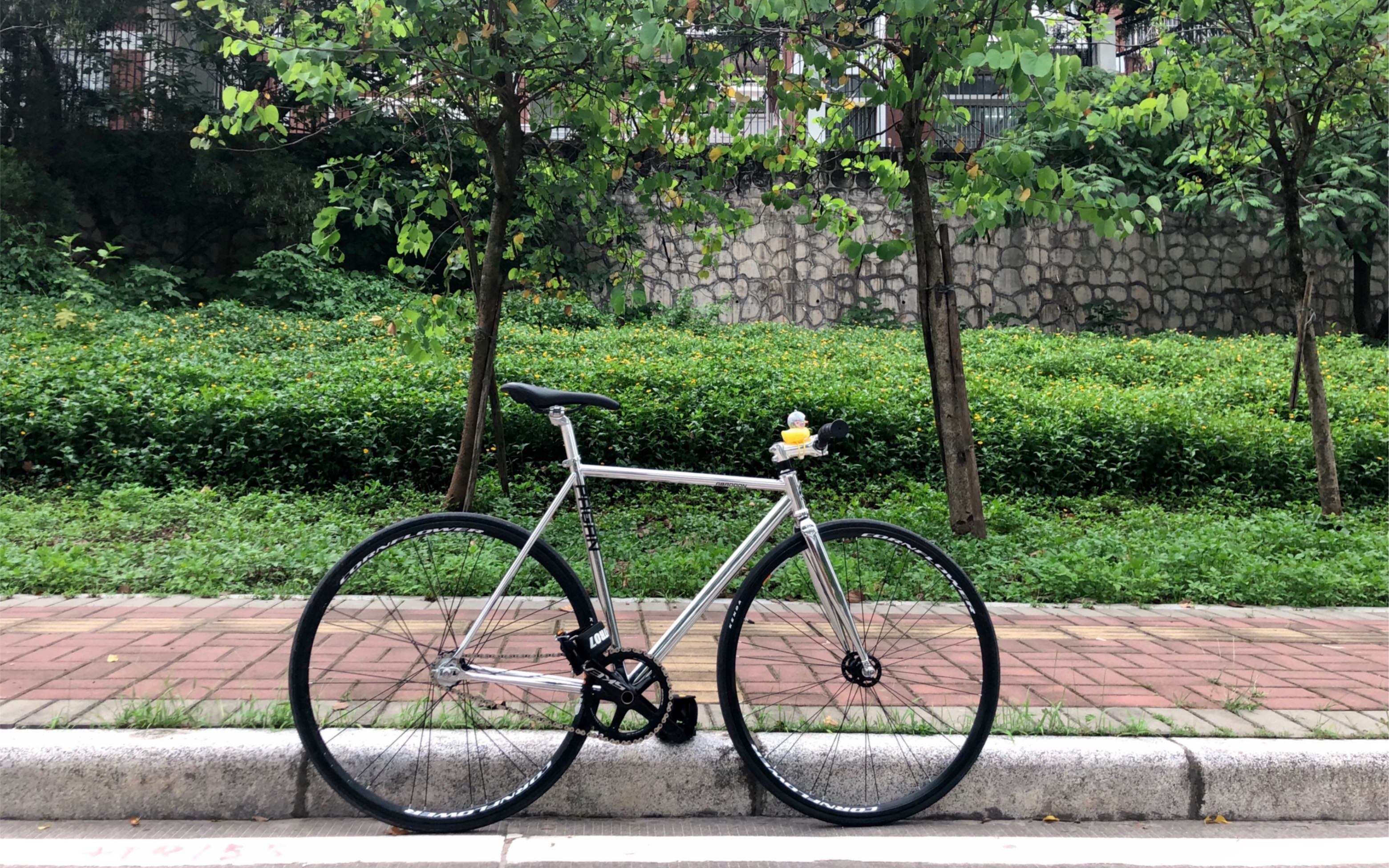 fixed gear -固齿-死飞-你还在坚持骑车吗?