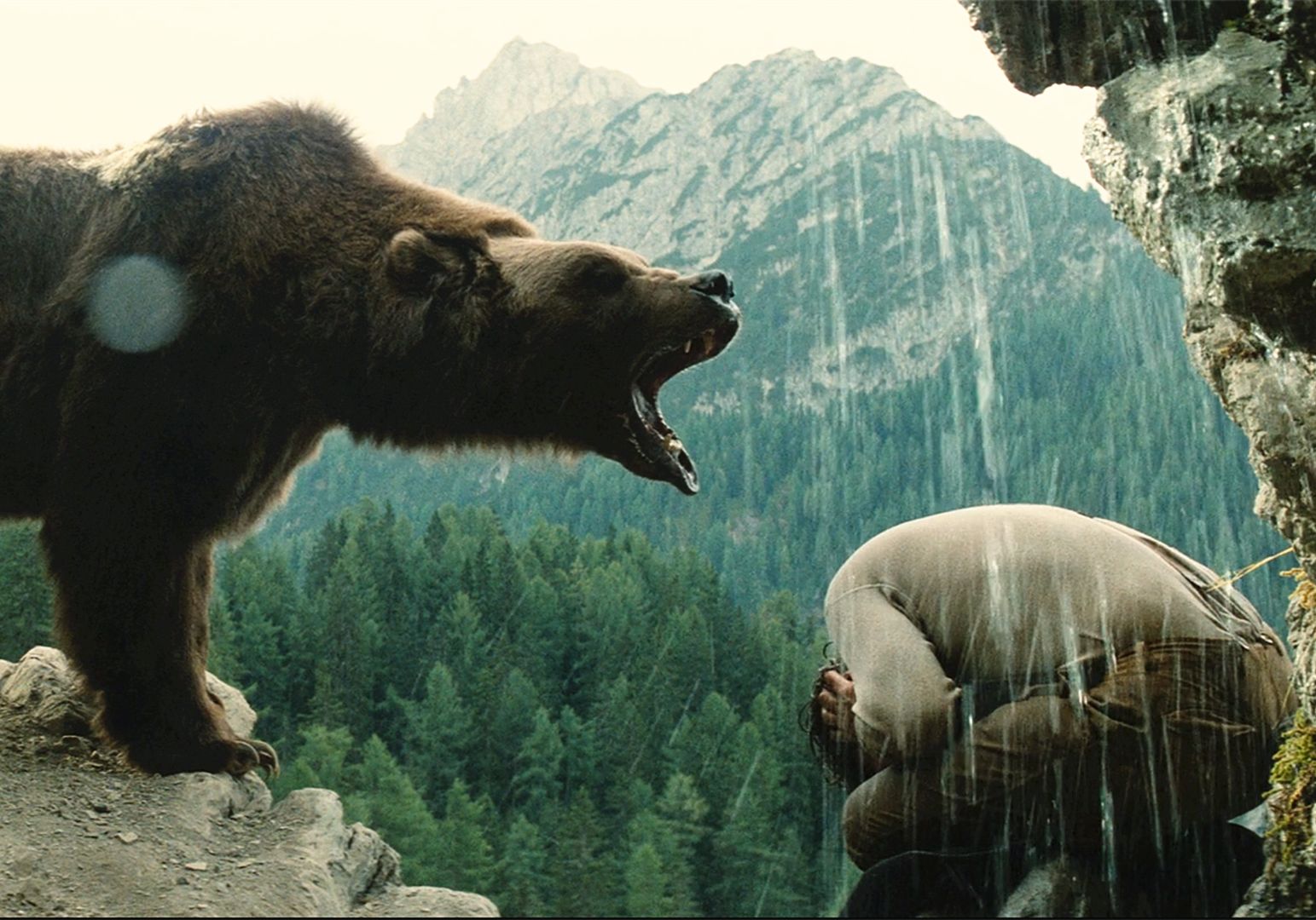 1885年真实故事改编,有趣又感动的电影《熊的故事》,太治愈了