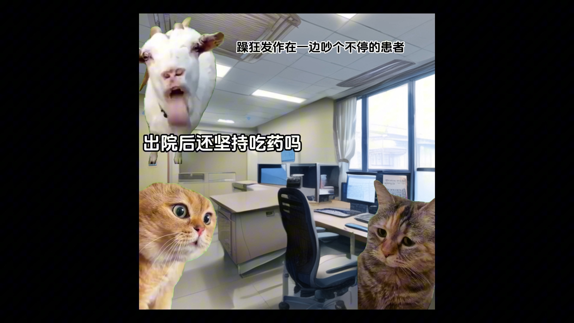 [图]【猫meme】急诊精神科的日常（总集篇）人类群星闪耀时刻