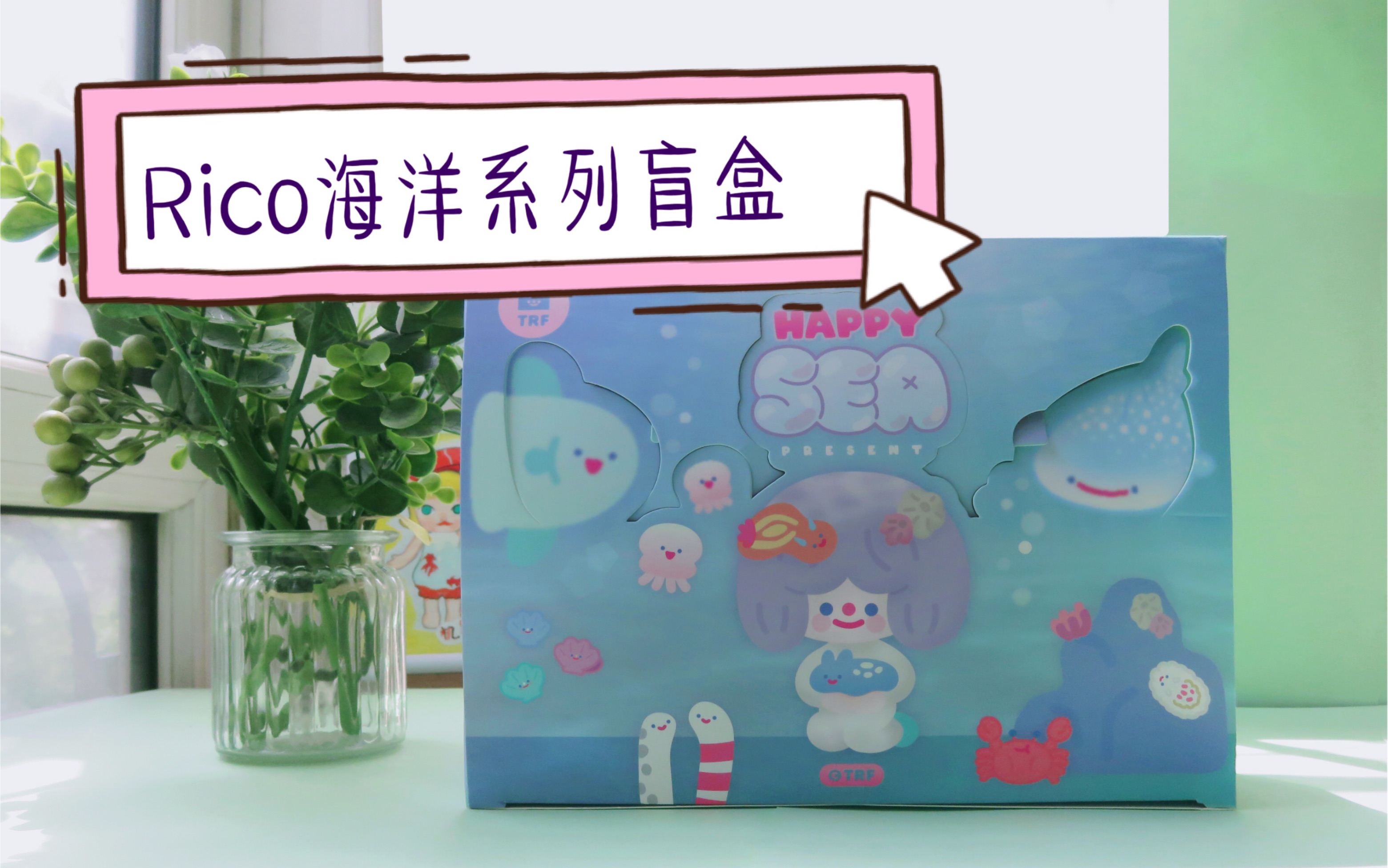 rico海洋系列盲盒手感分享-及时雨送姜提示您这波入股不亏!