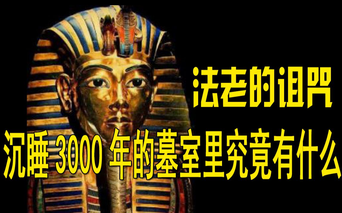 埃及《寻龙诀》图坦卡蒙的秘密快守不住了！古埃及最美的女人，真的葬在图坦卡蒙墓里吗？
