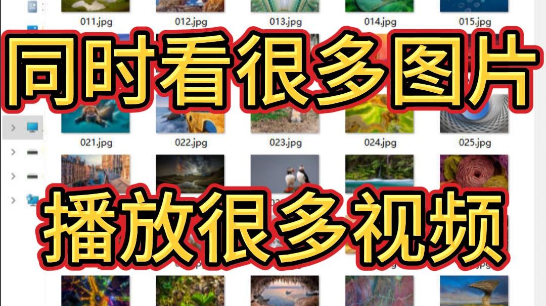 想同时看很多图片和播放很多视频,随机查看哔哩哔哩bilibili