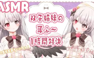 双子姉妹 哔哩哔哩 Bilibili 双子姉妹 哔哩哔哩 Bilibili
