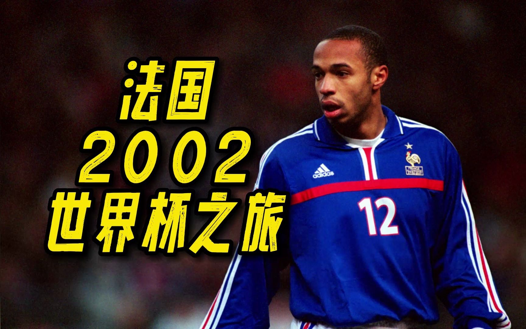 法国2002年世界杯之旅哔哩哔哩bilibili