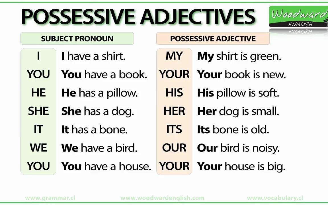 possessive adjective哔哩哔哩bilibili