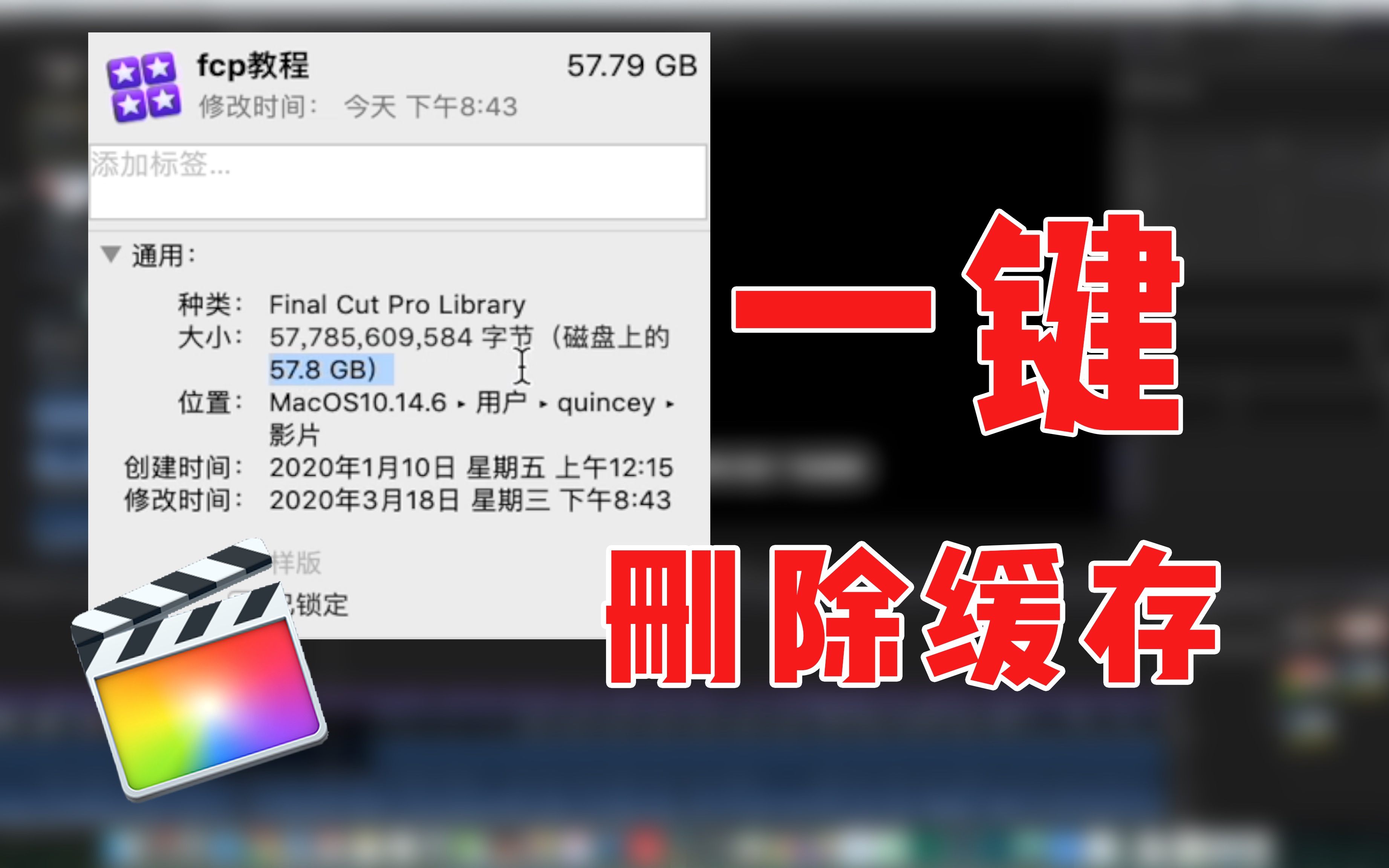 (FCPX教程)缓存文件过大?怎么办两个技巧教会你哔哩哔哩bilibili