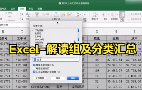 【excel表格制作】Excel解读组及分类汇总,快来试试吧.哔哩哔哩bilibili