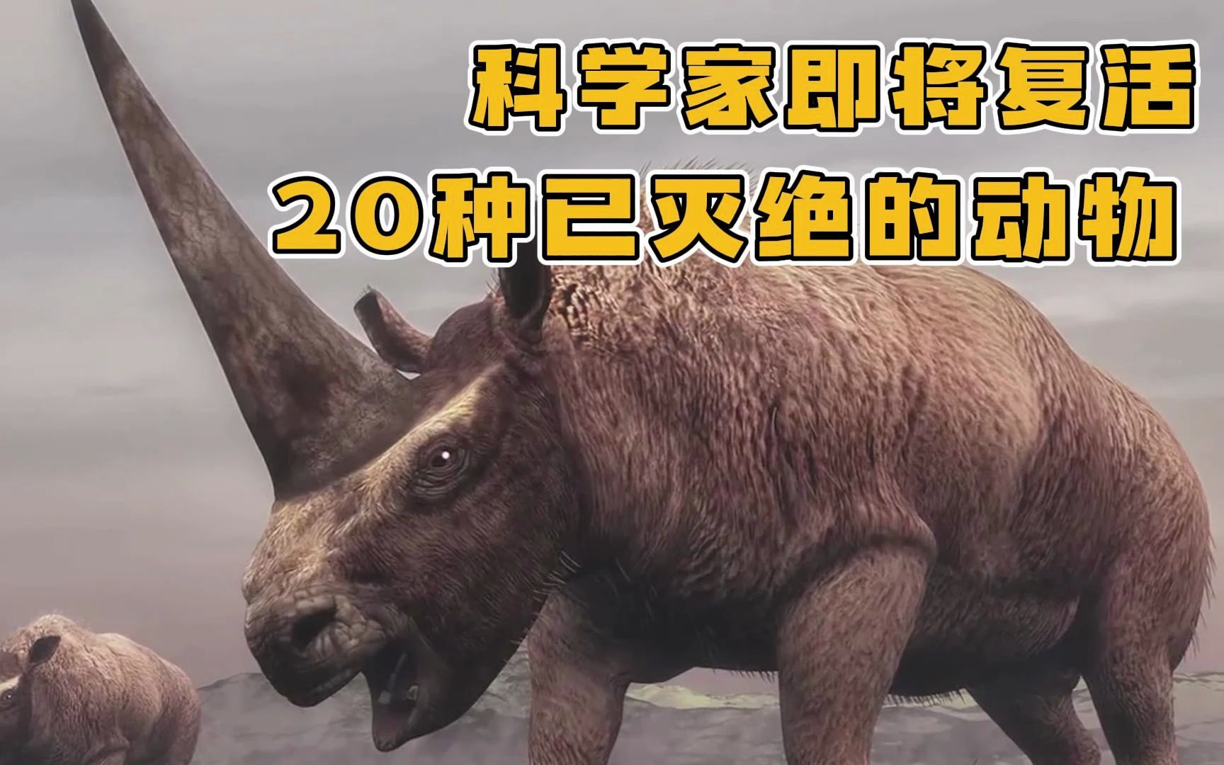 科学家即将复活的20种已灭绝动物