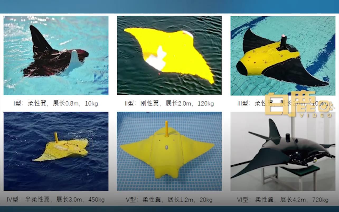 西北工业大学研发魔鬼鱼造型潜航器获技术发明特等奖哔哩哔哩bilibili