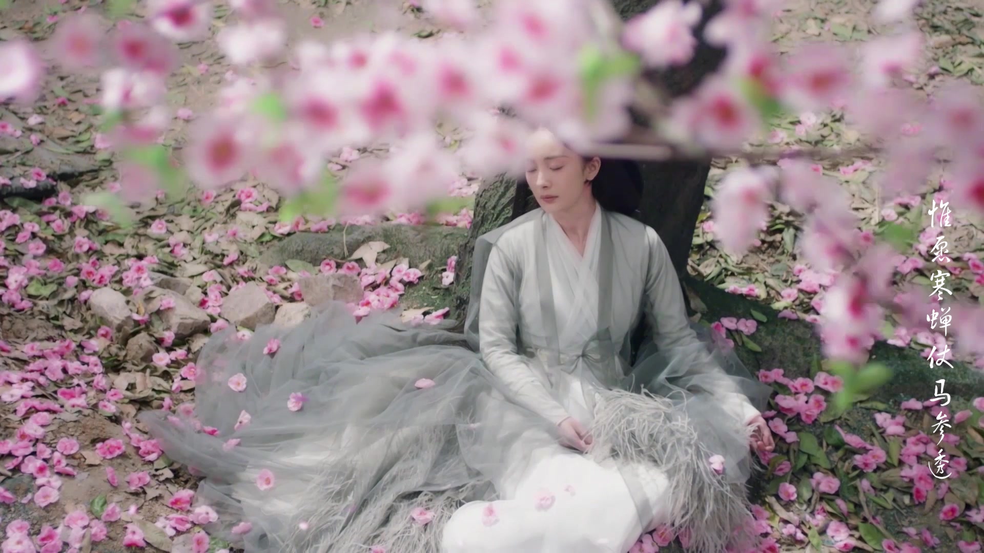 《一爱难求》 润玉x白浅 杨幂x罗云熙