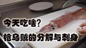 日式料理 馬面鱼刺身 哔哩哔哩 つロ干杯 Bilibili