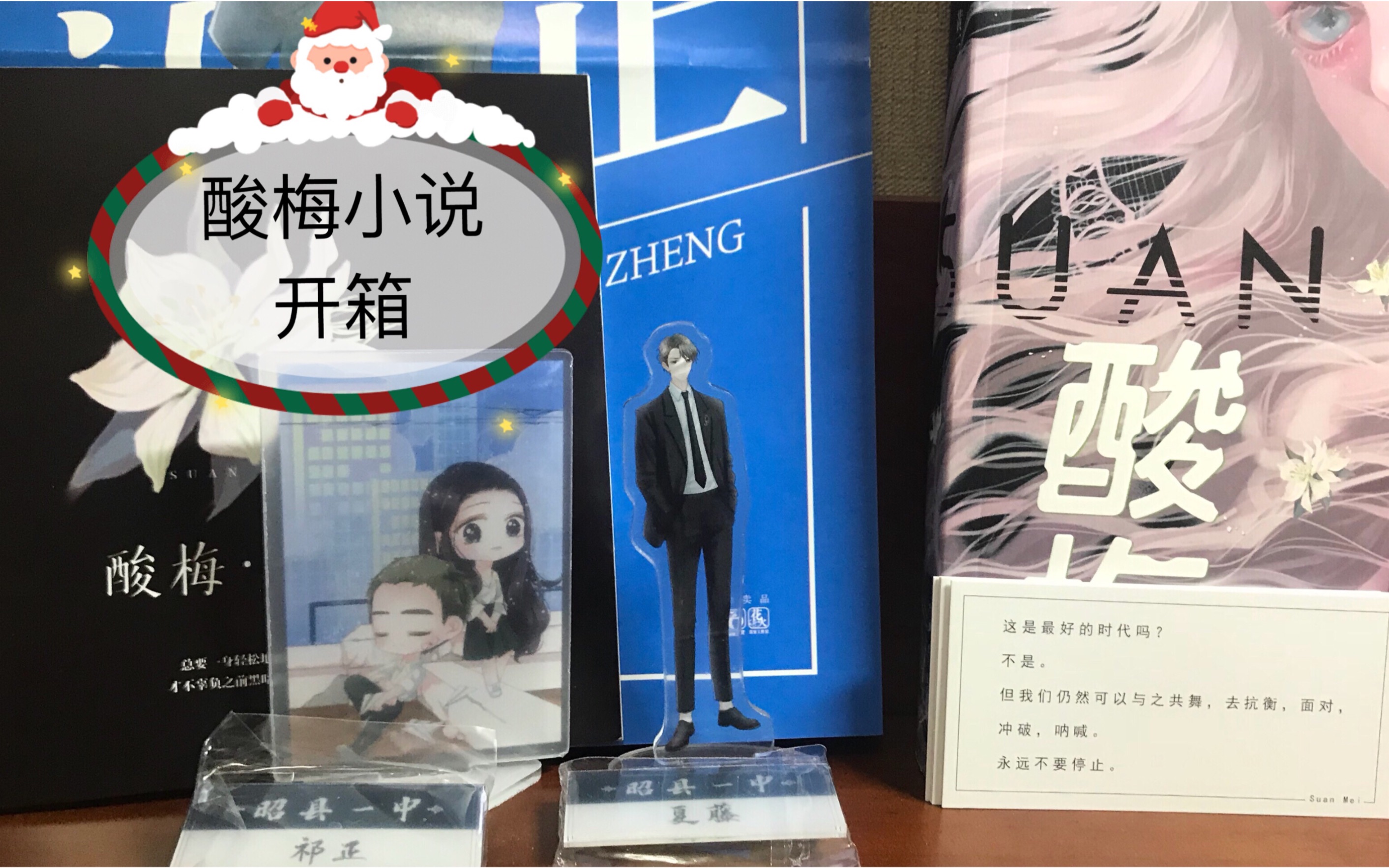 小说开箱酸梅立牌海报别针徽章书套套装一应俱全超级爱这个小说