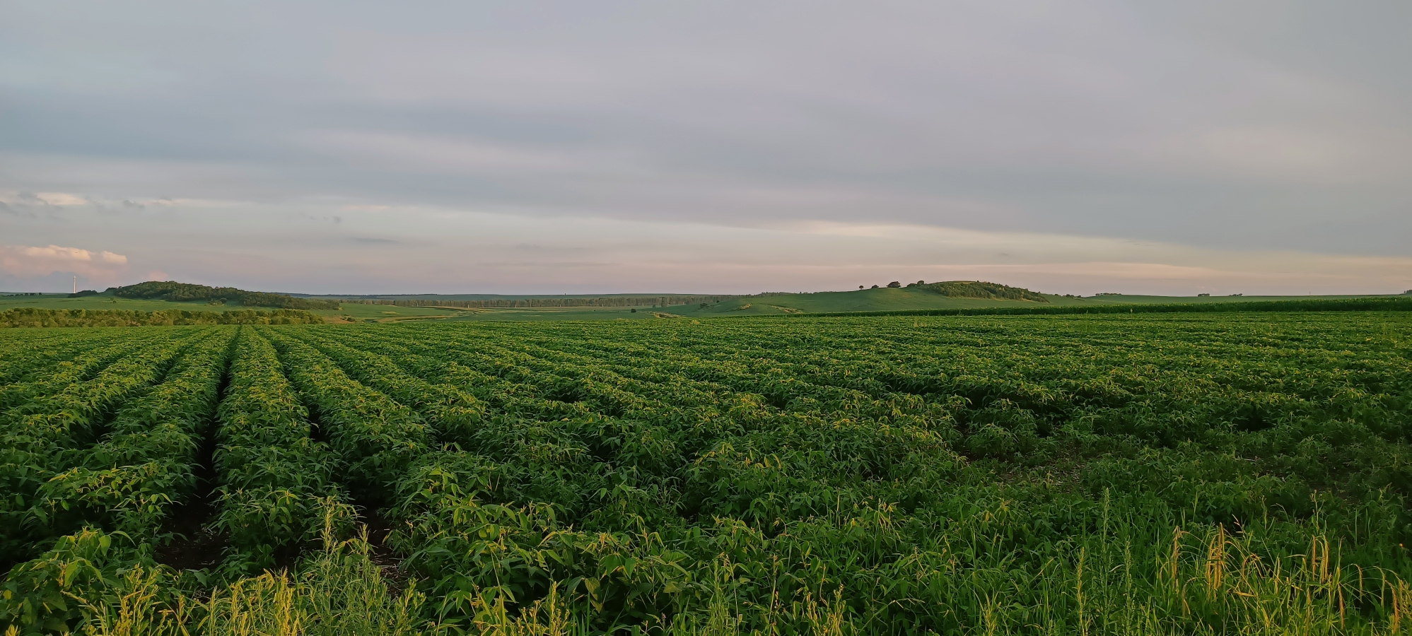 黑河市小石砬子村之风景