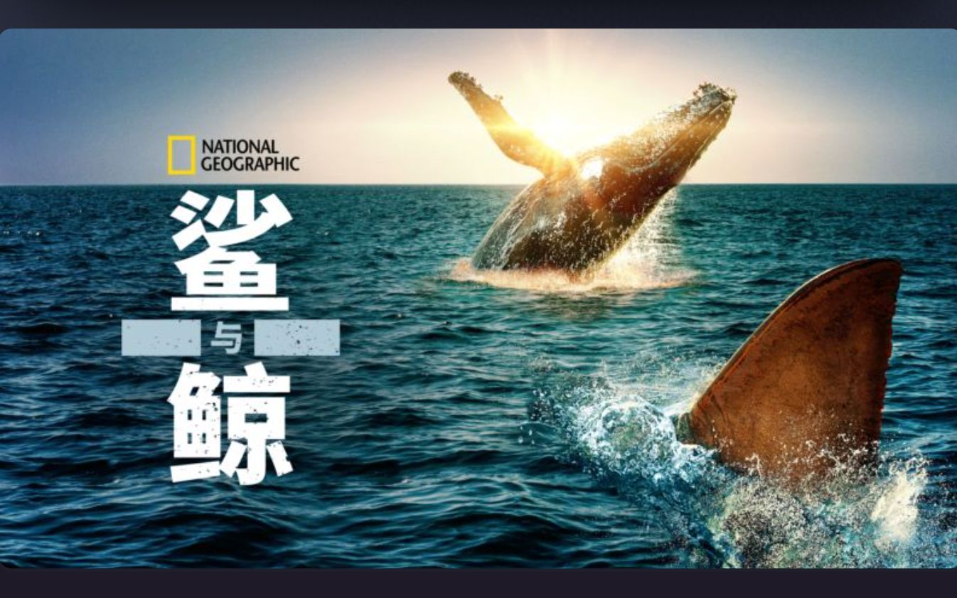 [图][国家地理频道] 鲨与鲸 Shark Vs Whale