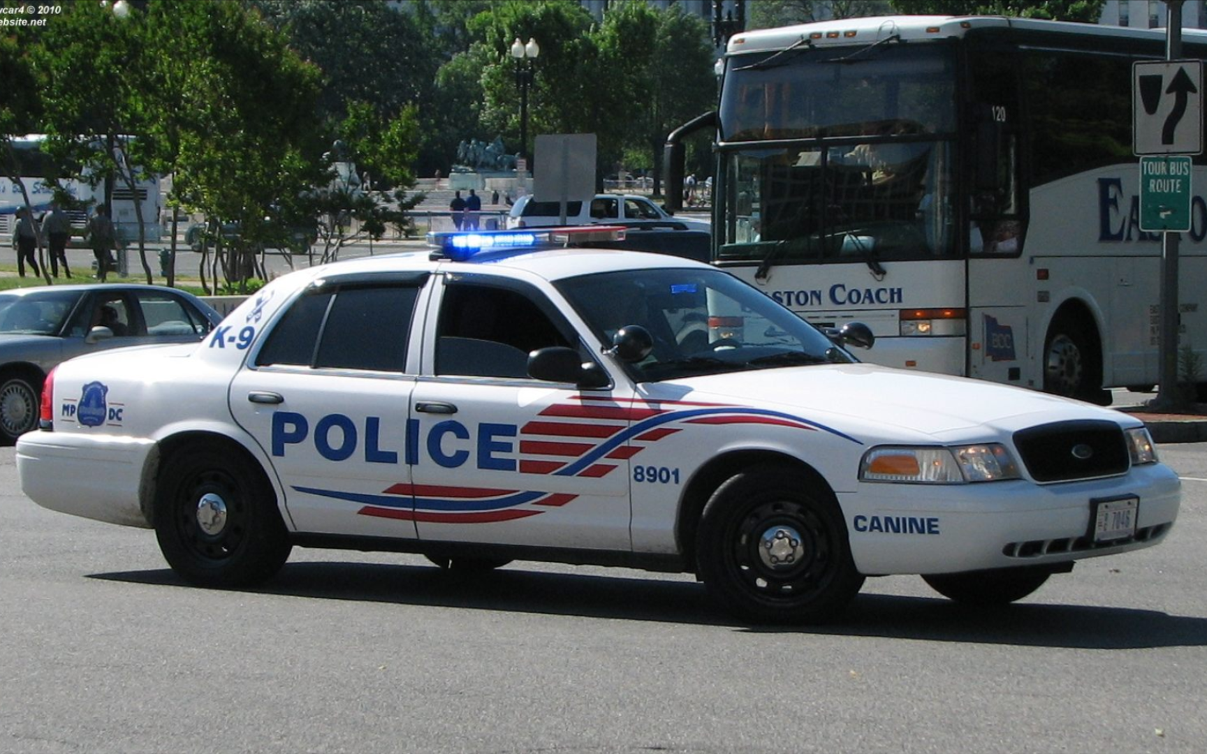 华盛顿特区警车涂装展示