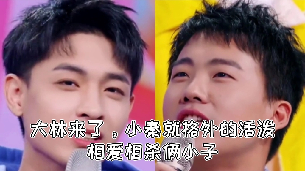 秦霄贤郭麒麟大林来了小秦就格外的活泼相爱相杀俩小子