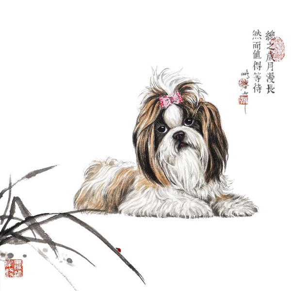 国画动物】画一只西施犬_哔哩哔哩_bilibili