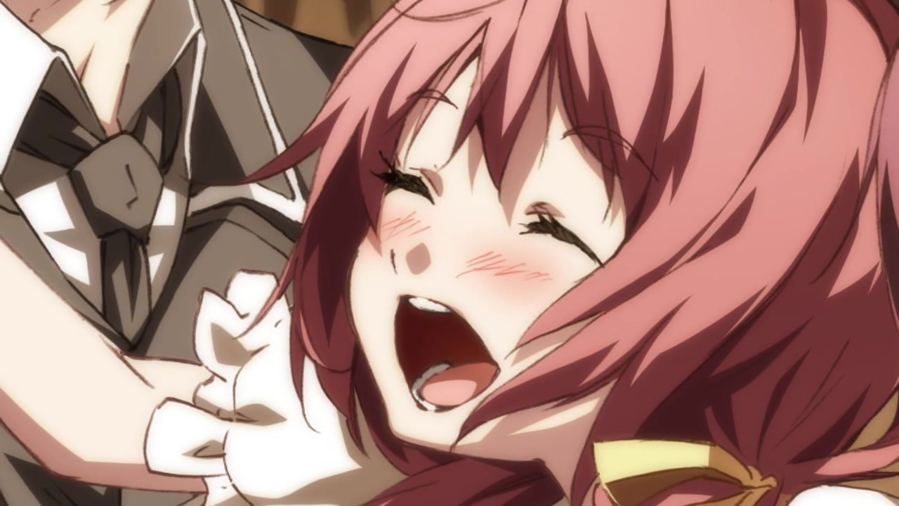 【祝动画化】dies irae～acta est fabula～cd pv