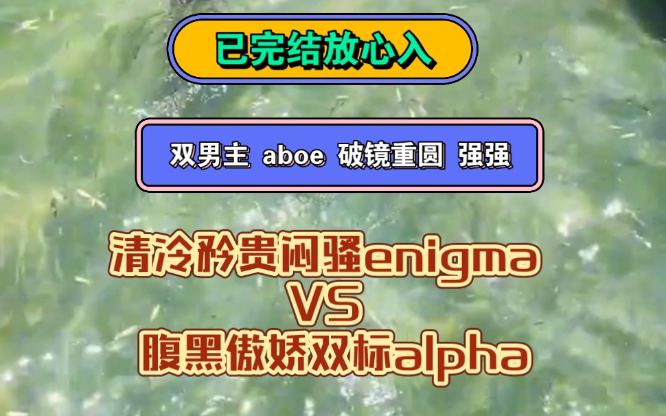 《野性蝴蝶》双男主 aboe 双强双洁 火葬场 破镜重圆 | 清冷矜贵闷骚enigma VS 腹黑傲娇双标alpha哔哩哔哩bilibili