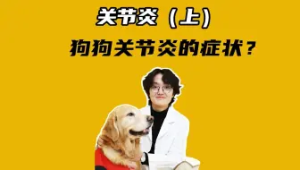 狗狗膀胱炎都有什么症状 病因又是什么 哔哩哔哩 Bilibili 狗狗膀胱炎都有什么症状 病因又是什么 哔哩哔哩 Bilibili