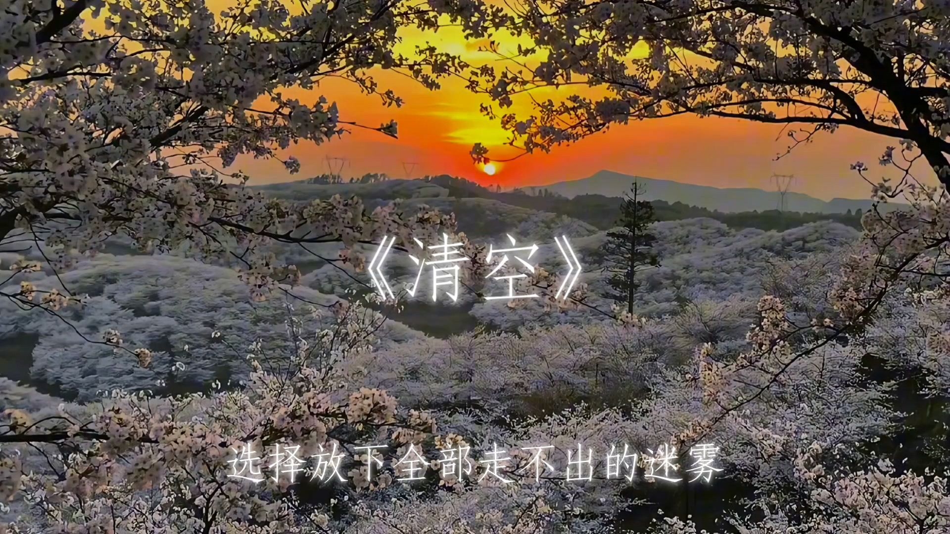 qingkong，晴空一鹤排云上,便引诗情到碧霄