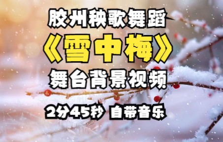 胶州秧歌舞蹈《雪中梅》定制版桃李杯民族民间舞女子独舞汇报演出元旦年会舞台led大屏背景视频哔哩哔哩bilibili