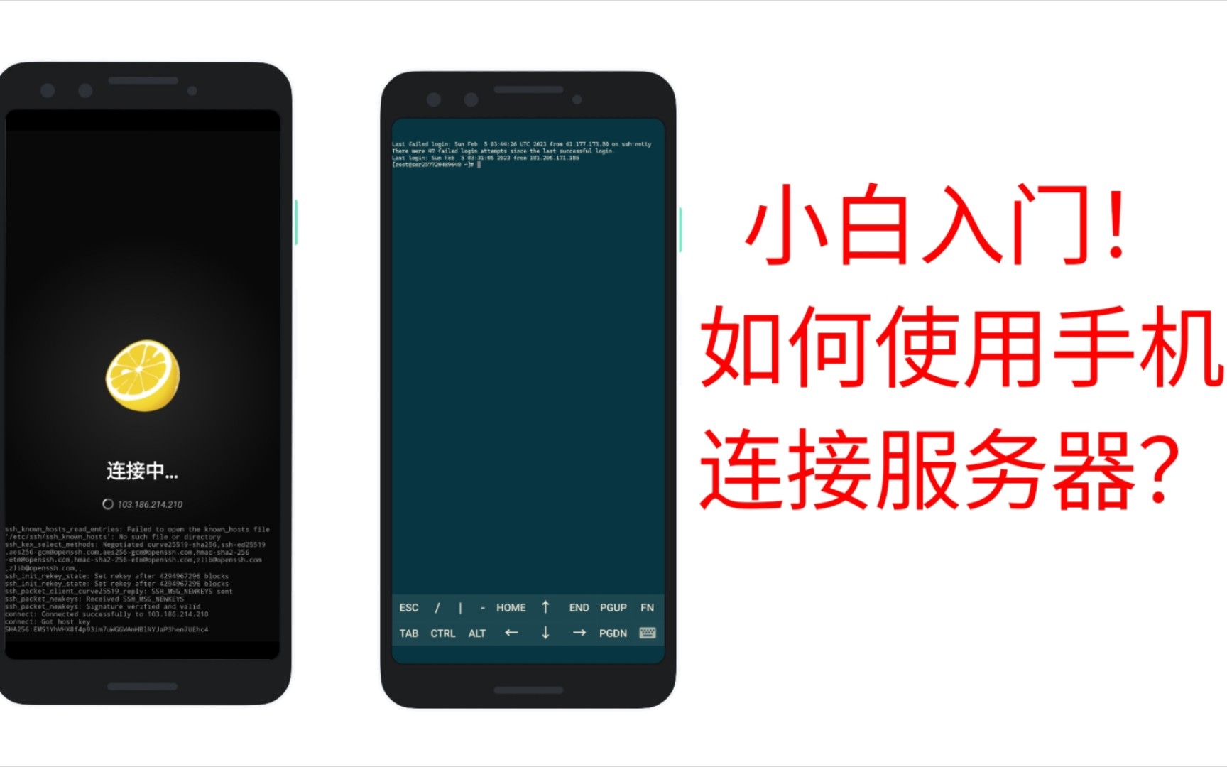 如何使用手机连接服务器?小白入门