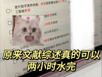 什么是文献综述?文献综述到底怎么写!哔哩哔哩bilibili