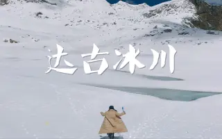 雪山草 哔哩哔哩 Bilibili