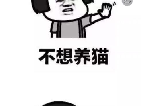 养猪致富