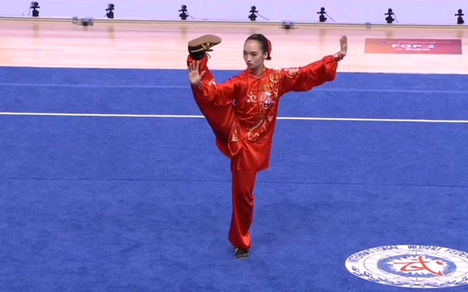 功夫汇的个人空间 哔哩哔哩移动版