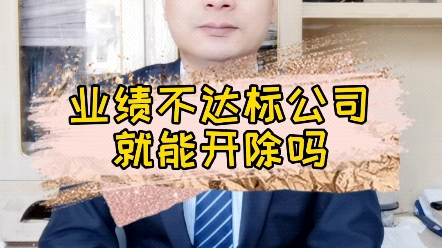 业绩不达标公司就能开除吗哔哩哔哩bilibili