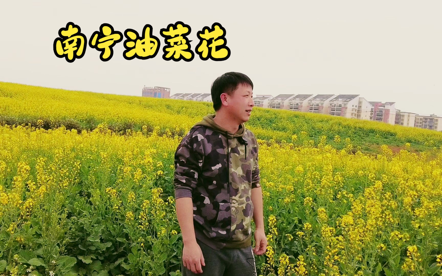 南宁明阳农场油菜花美如画,不收门票,坐公交车可直达