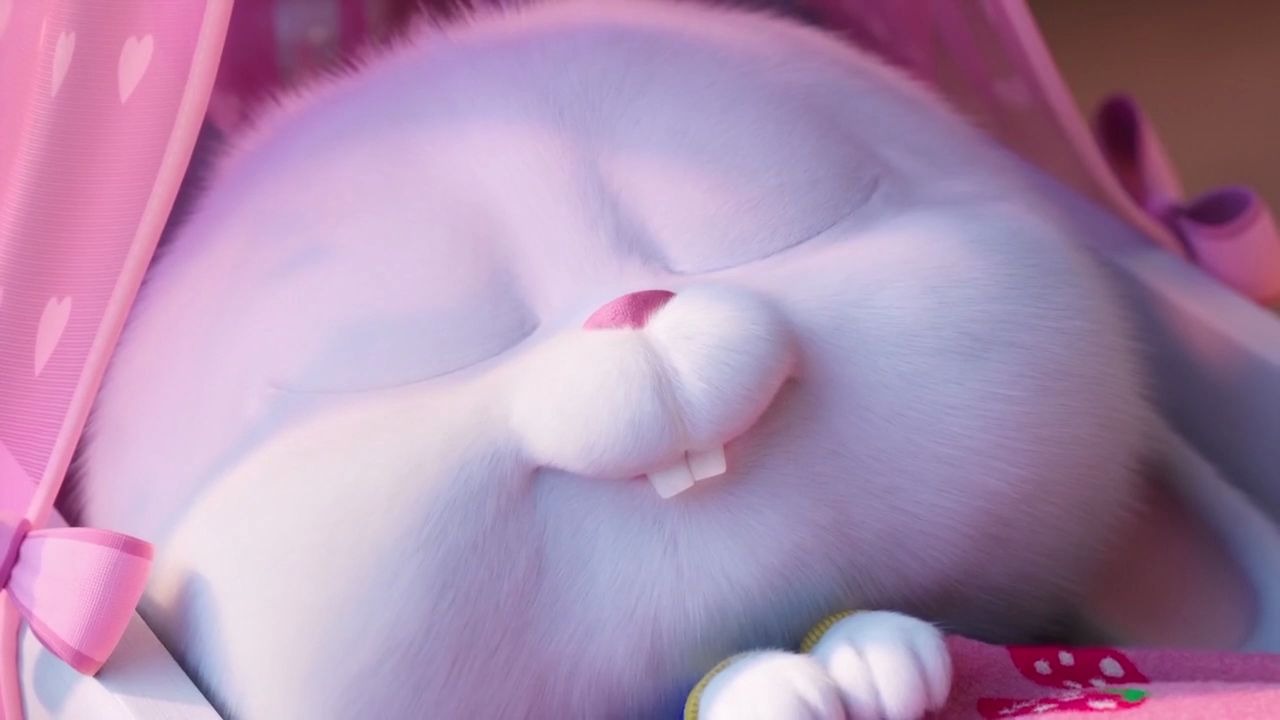 活动作品这才是猛男应该看的