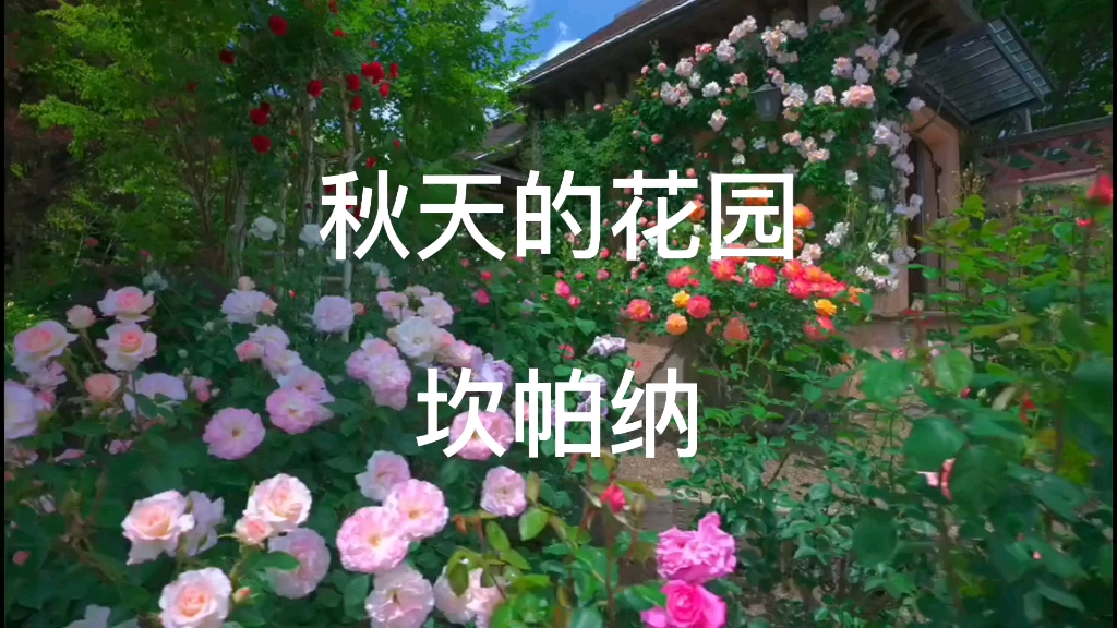 现代诗歌《秋天的花园》哔哩哔哩bilibili